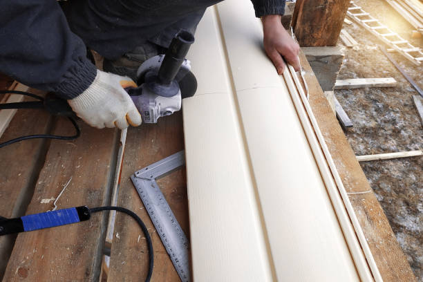 Best Steel Siding Installation  in Summit, AZ