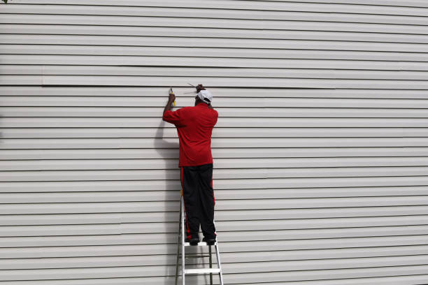 Best Custom Siding Design  in Summit, AZ